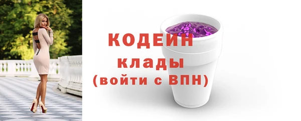 гидра Майский