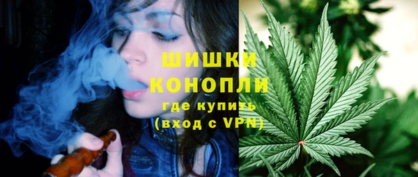 гидра Майский