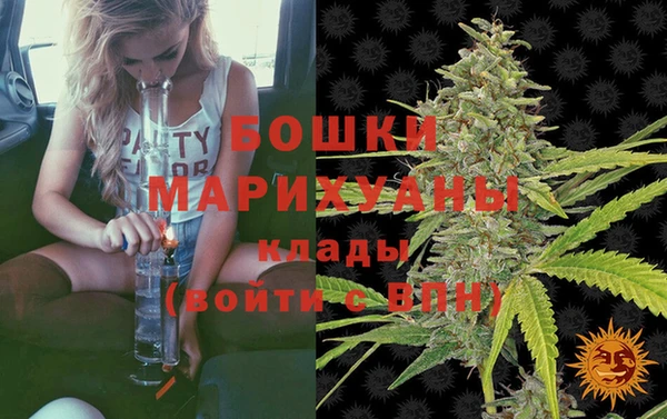 гидра Майский