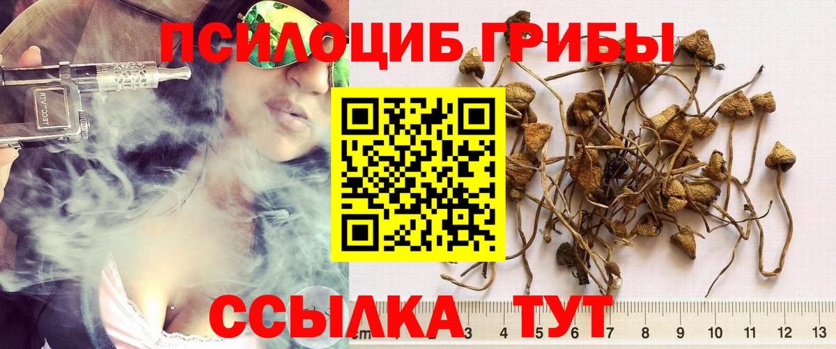 Псилоцибиновые грибы ЛСД Находка