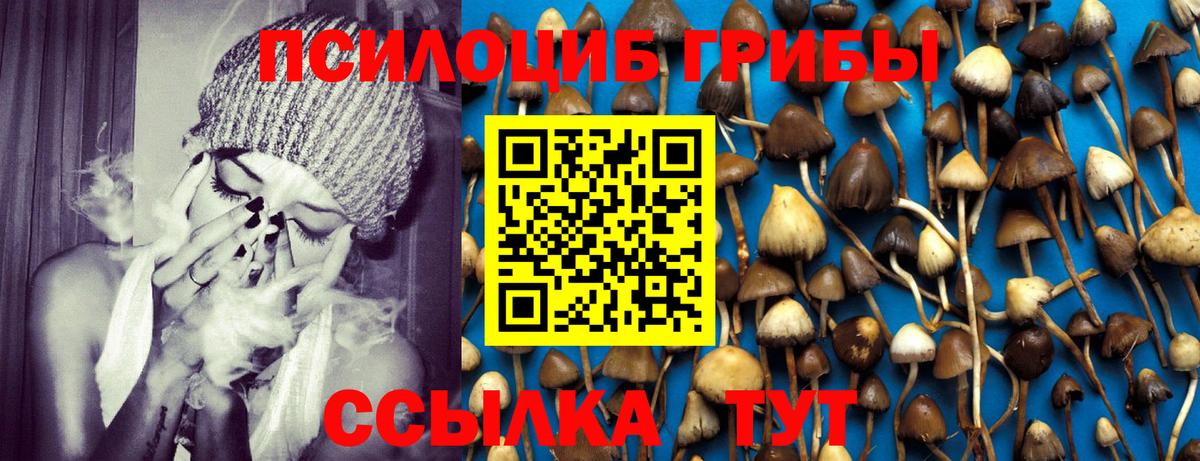 Находка  Галлюциногенные грибы мухоморы  Вход с VPN 